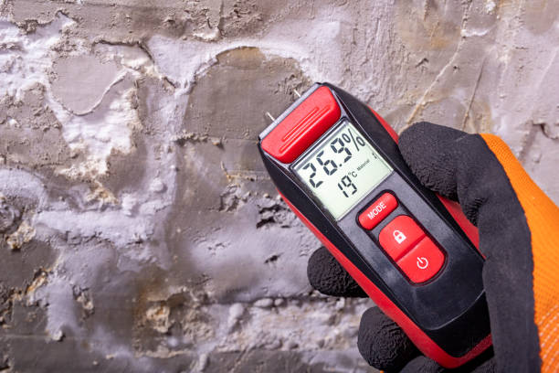 Best White Mold Remediation in Grove, OK