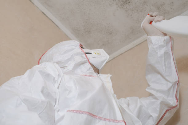 Best Kitchen Mold Remediation in Grove, OK