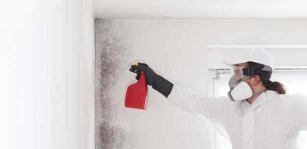 Professional Mold Remediation in Grove, OK