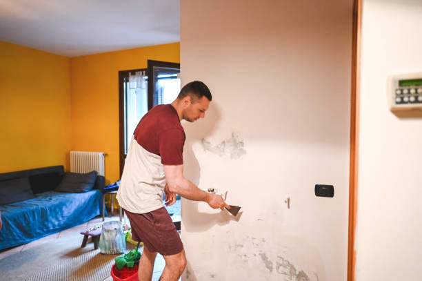 Best Mold Testing and Inspection Services in Grove, OK